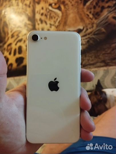 iPhone SE (2020), 64 ГБ