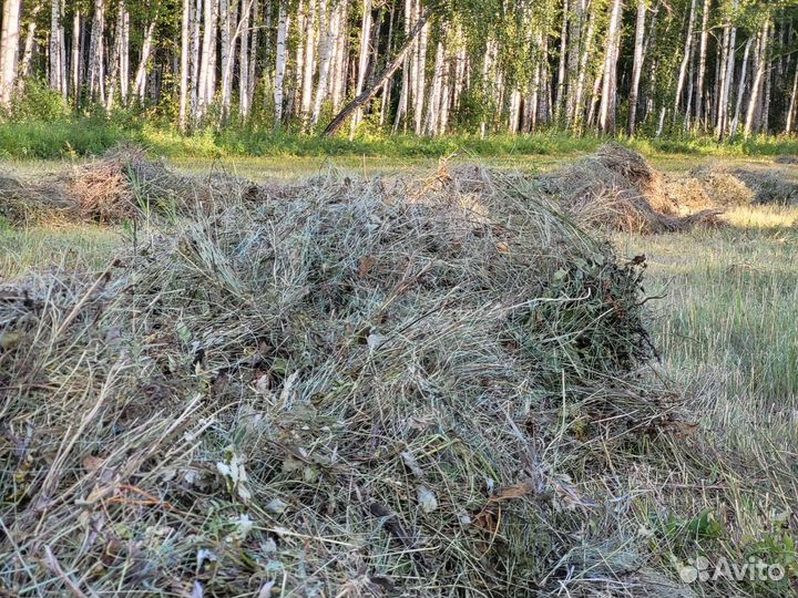 Продам сено в рулонах