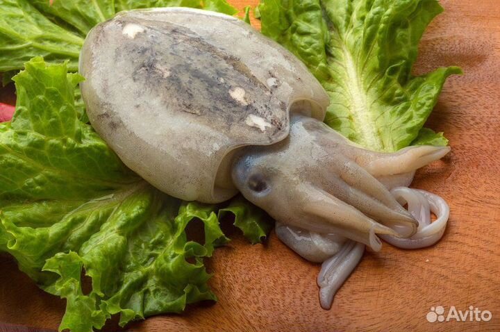 Морепродукты Осьминог Каракатица кальмар