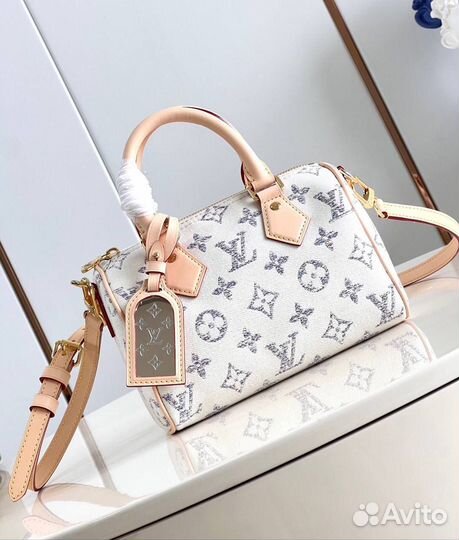 Сумка Louis Vuitton Speedy