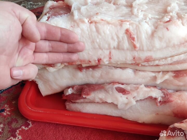 Сало свиное свежее