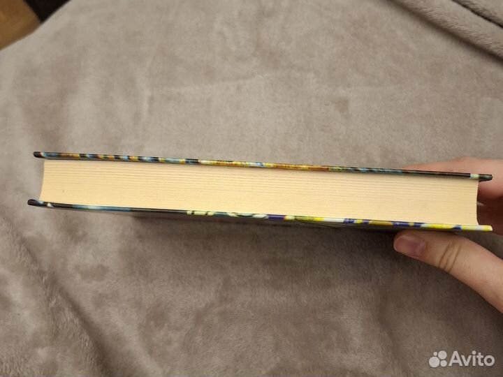 Жузе Эдуарду Агуалуза - Всеобщая теория забвения