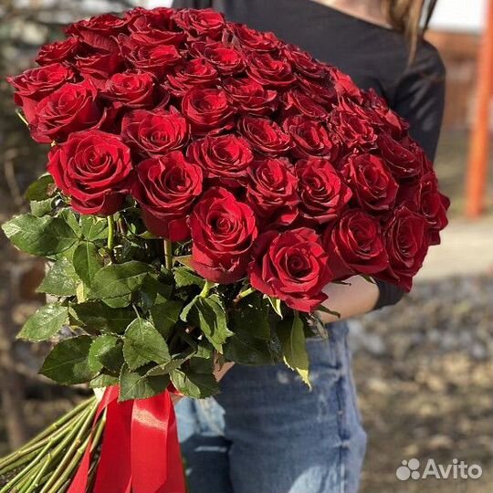 Розы 51 21 101 тюльпан
