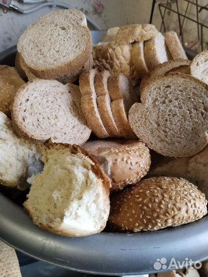 Хлеб для животных