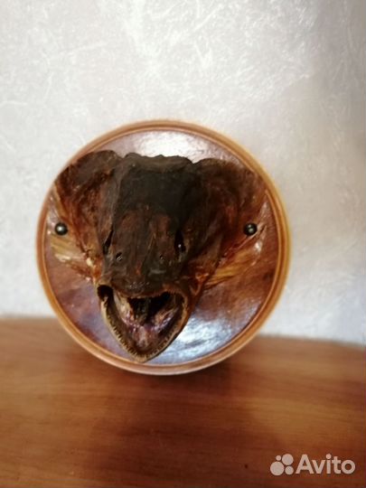 Панно из дерева Рыба