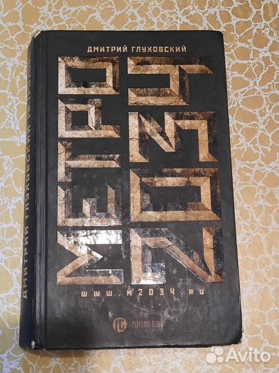 Книга метро 2034