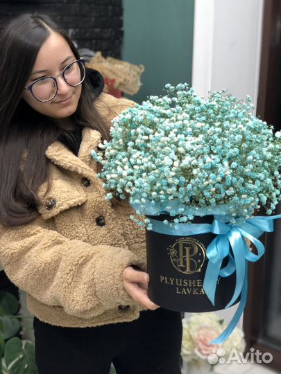 Гипсофила в коробке