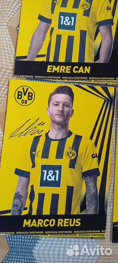 Автографы футболистов