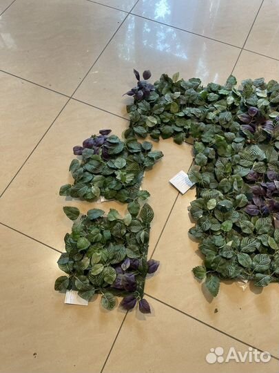 Флористика