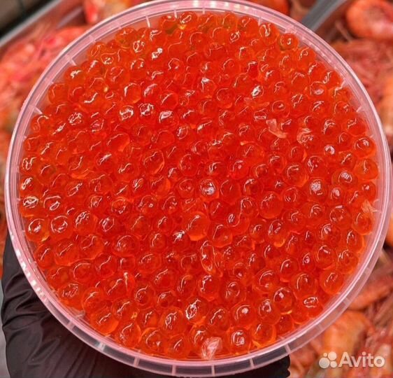 Красная Икра Горбуши