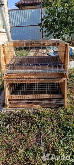 Клетки для перепелов бу