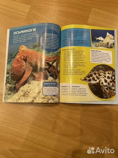 Детская энциклопедия о космосе