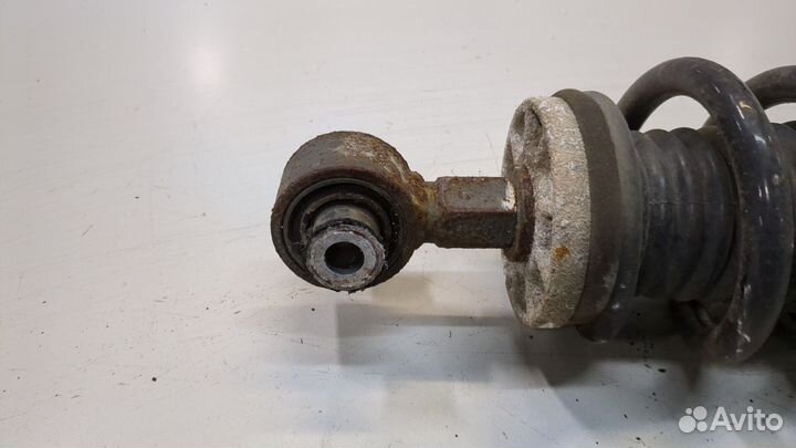 Амортизатор подвески Peugeot 407, 2009