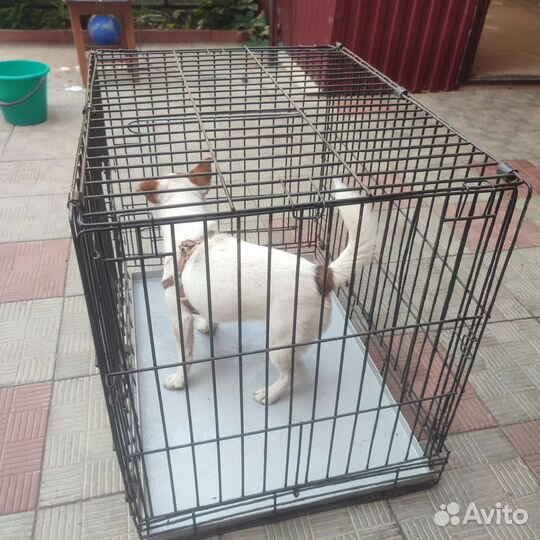 Клетка вольер для собак
