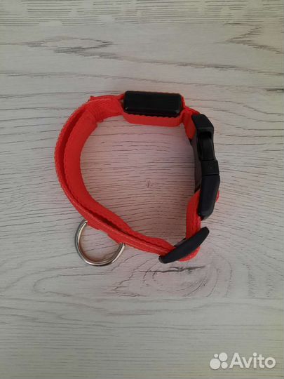 Рюкзак для собак и ошейник светящийся