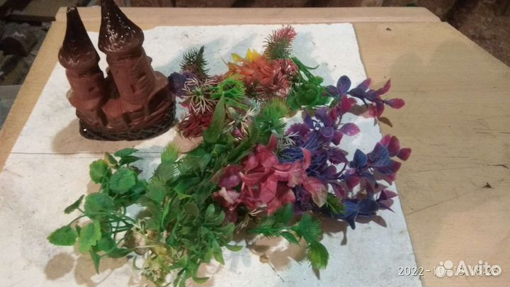 Аквариум на 10 литров