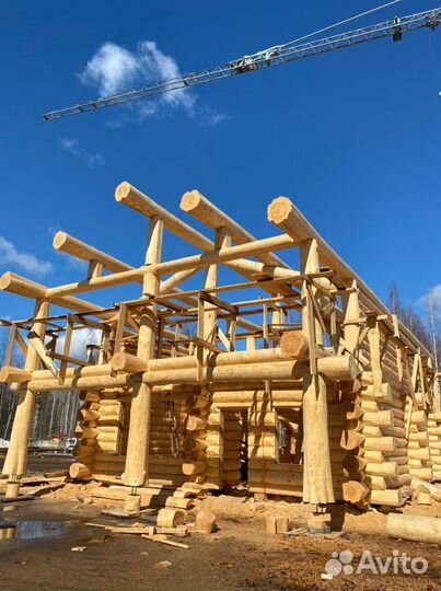 Сруб из кедра