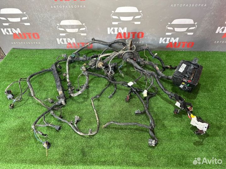 Проводка моторного отсека с блоком предохранителей