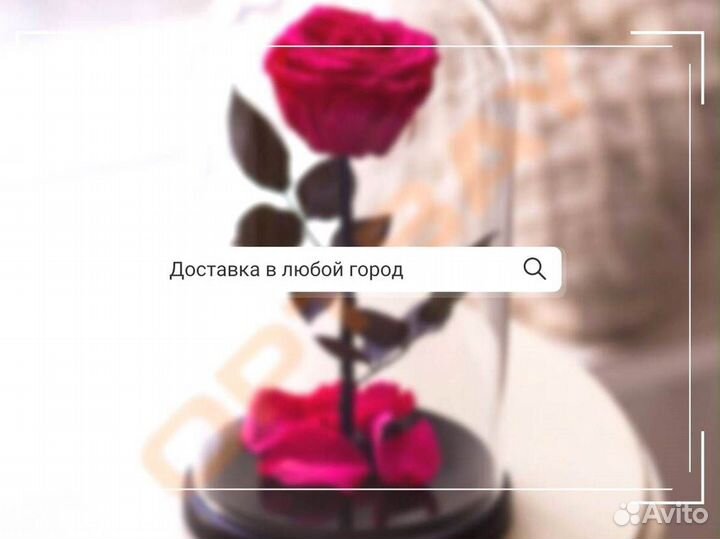 Розы в колбе на выбор