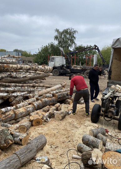 Дрова березовые колотые