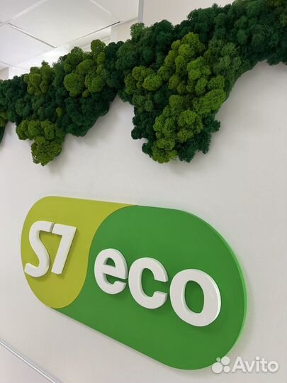 Стабилизированный мох панно