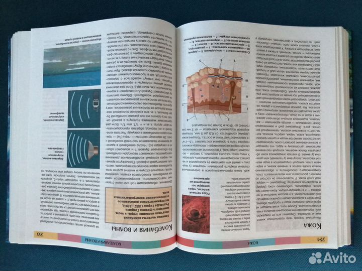 Детская энциклопедия