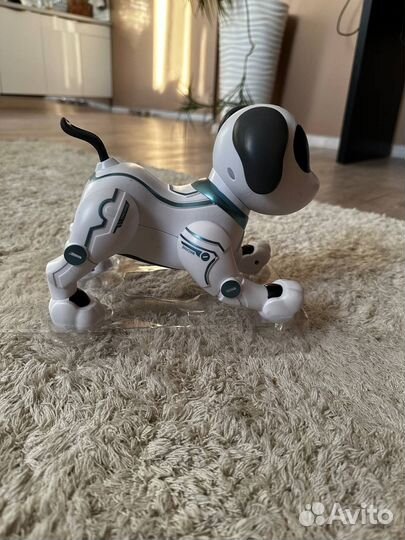 Робот собака