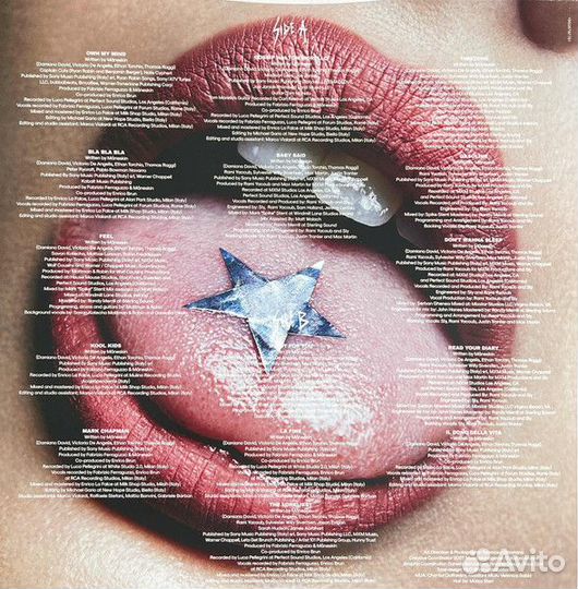 Виниловая пластинка Maneskin - Rush (Picture Vinyl