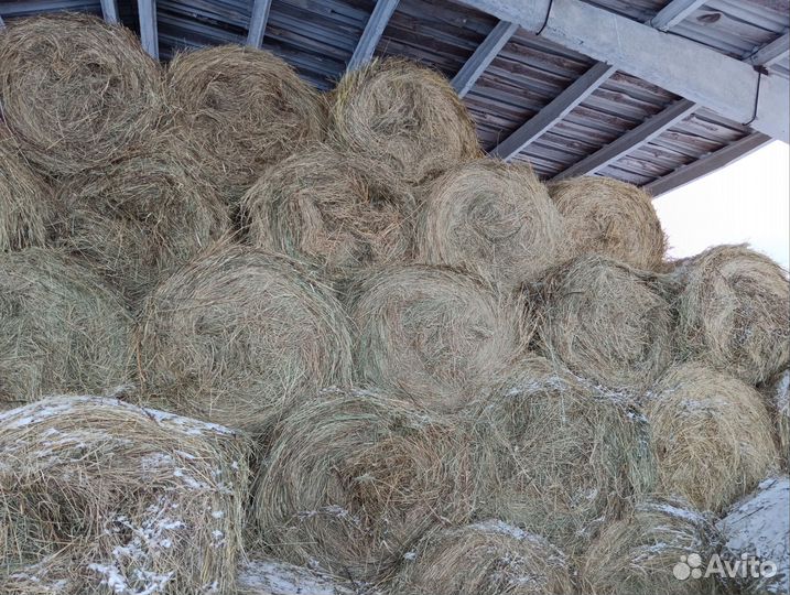 Сено в рулонах