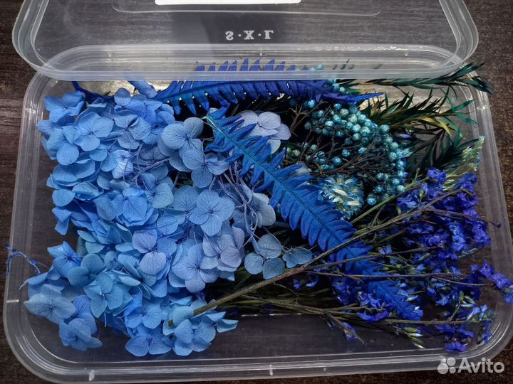 Сухоцветы для творчества