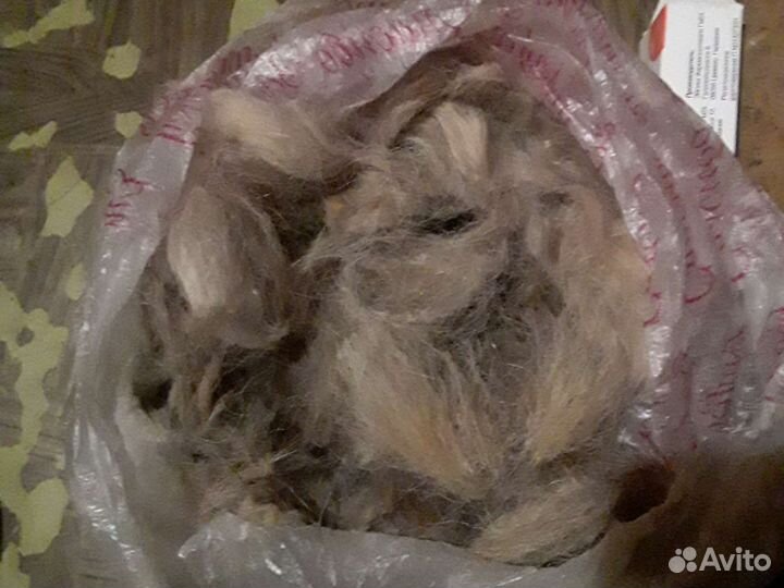 Шерсть собачья