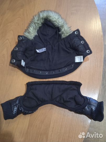 Курточка для той-терьера