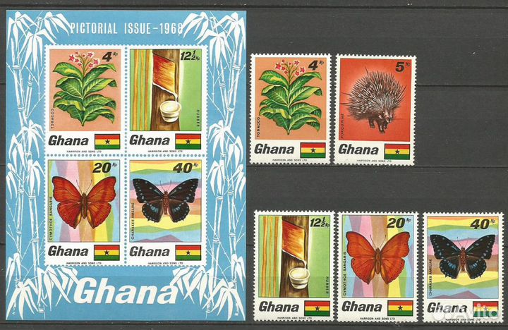 Гана. Бабочки, Цветы, Флора, Дикобраз