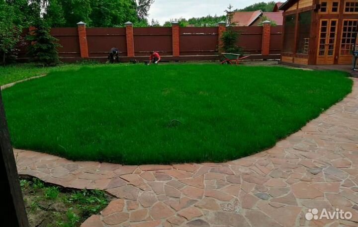 Рулонный газон с доставкой