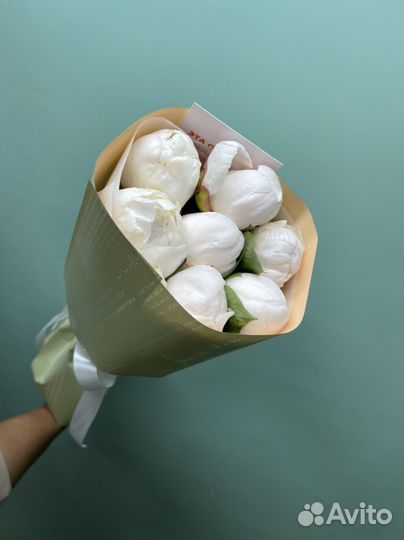 Пионы белая