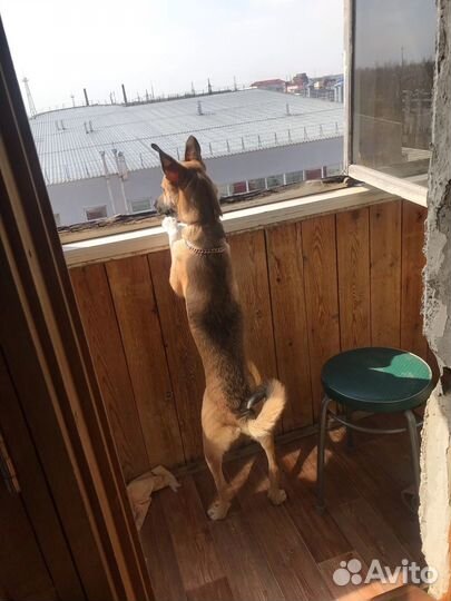Чудо
