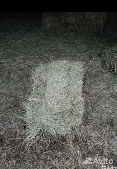 Сено в тюках