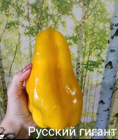 Семена сладкого перца