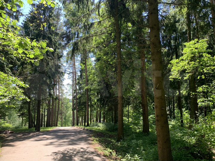 Участок 6,6 сот. (ИЖС)