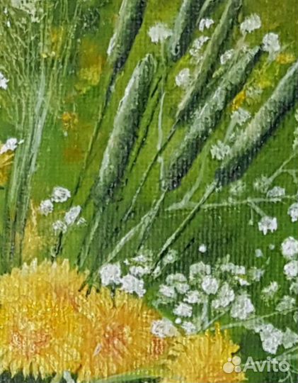 Картина Цветы Одуванчики. Масло, холст 13х18