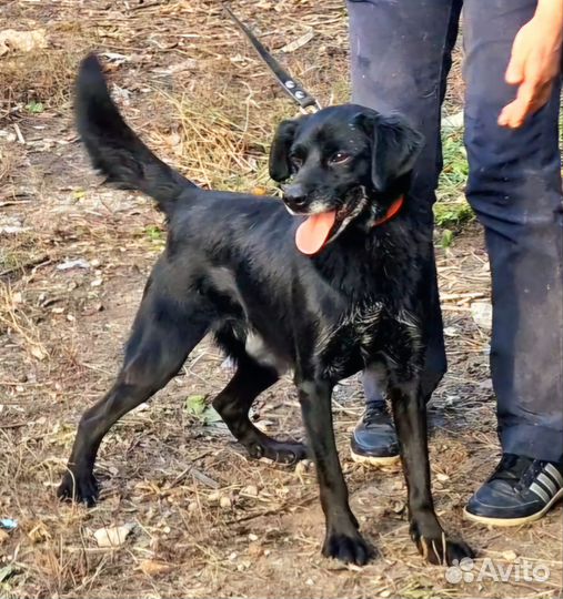 Отдадим мальчишку в заботливые руки