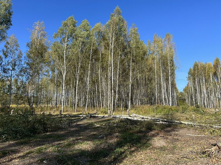 Участок 10 сот. (ИЖС)