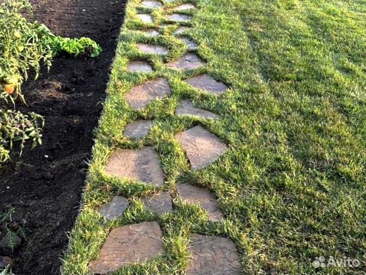 Газон. Рулонный газон