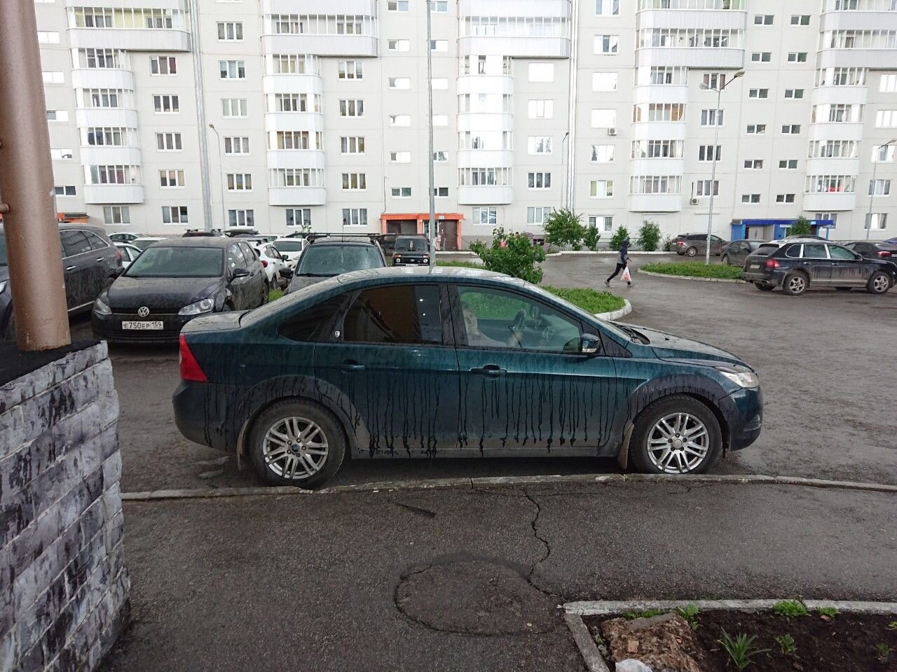 Ford Focus: фото владельца