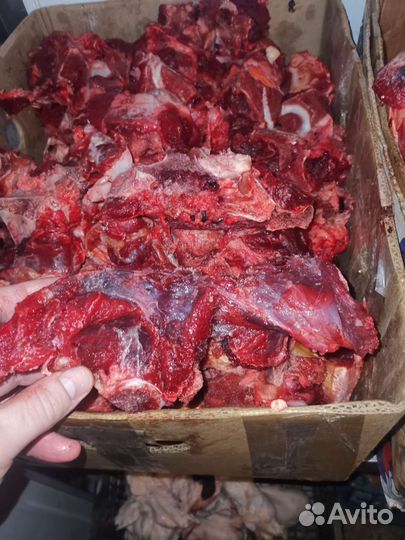 Мясо и кости для собак