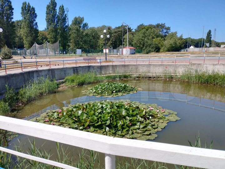 1-к. квартира, 36,9 м², 1/5 эт.