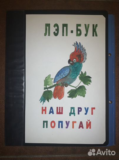 Лэпбук.Развивашки.Ручн работа.Русск /татарский