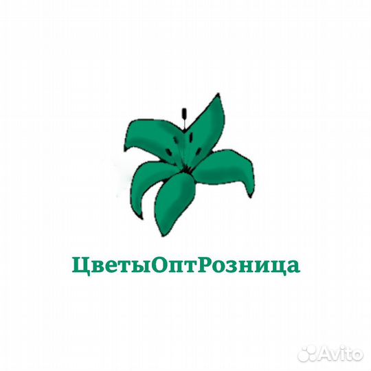 Мобильный ночной продавец