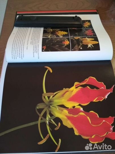 Книга альбом о цветах