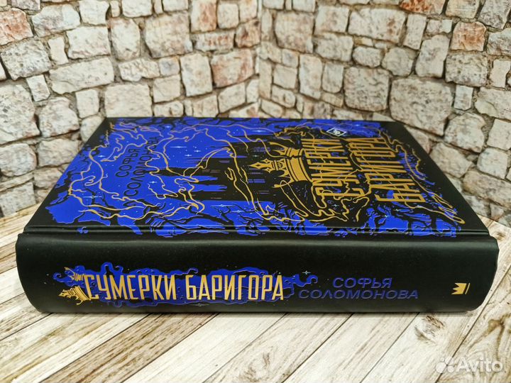 Сумерки Баригора. Софья Соломонова